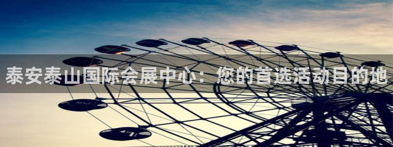 苹果电脑怎么下载博弈大师等软件：泰安泰山国际会展中心：您的首选活动目的地