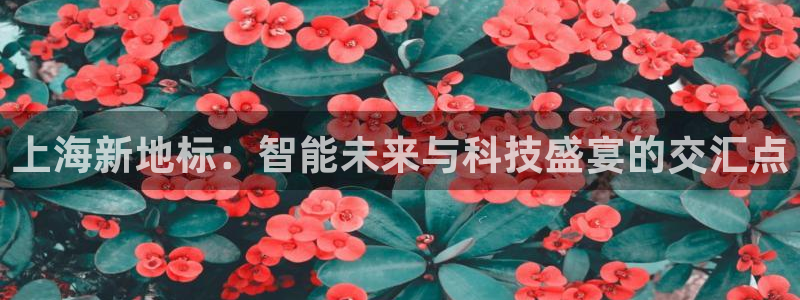 果博注册充值多少钱：上海新地标：智能未来与科技盛宴的交汇点