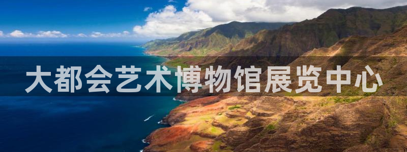 果搏代理：大都会艺术博物馆展览中心