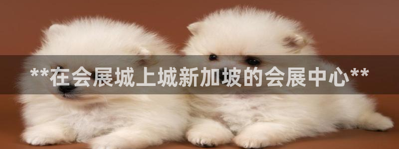 果博平台开户电话号码：**在会展城上城新加坡的会展中心**