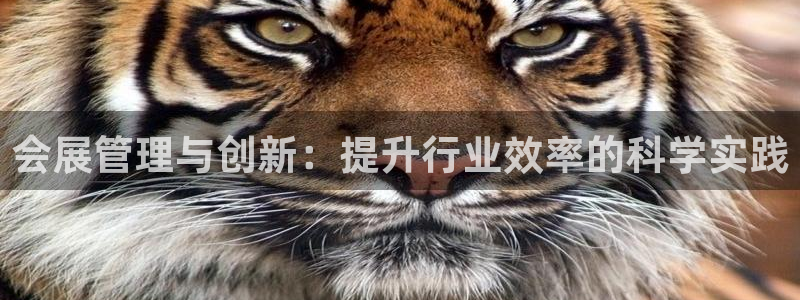 果博注册客服电话是多少啊：会展管理与创新：提升行业效率的科学实践