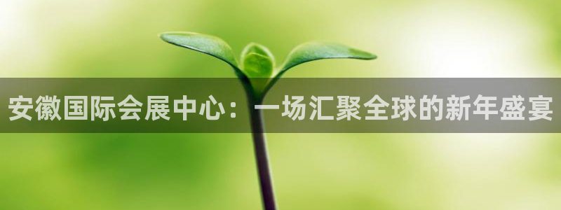 果博注册会员要钱吗：安徽国际会展中心：一场汇聚全球的新年盛宴