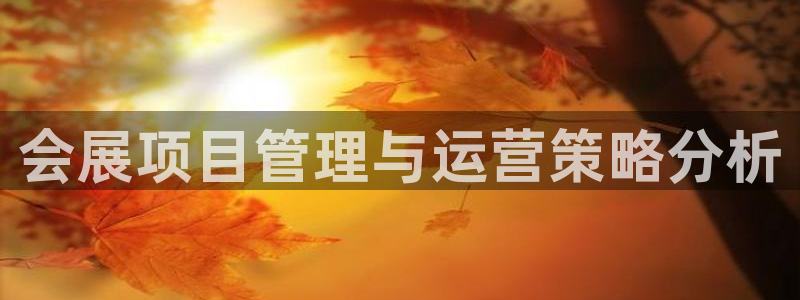 电脑怎么下载果考网：会展项目管理与运营策略分析