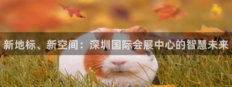 果博平台真实吗知乎怎么样：新地标、新空间