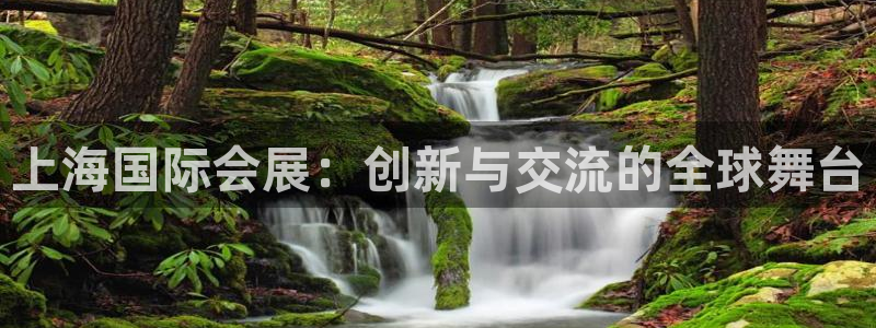 果博客服电话多少：上海国际会展：创新与交
