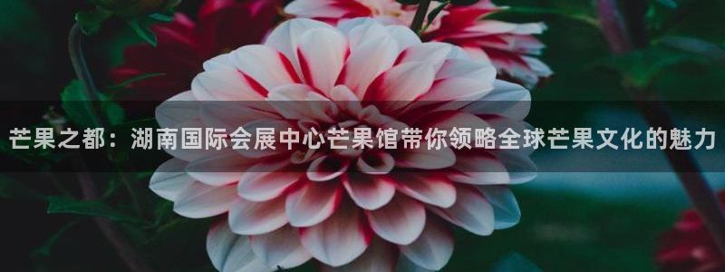 果博代理：芒果之都：湖南国际会展中心芒果