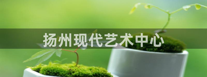 果博集团：扬州现代艺术中心