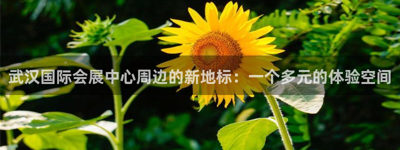 果博官方热线：武汉国际会展中心周边的新地标：一个多元的体验空间