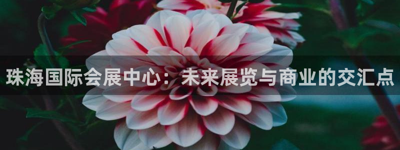 苹果电脑可以下载博易大师吗：珠海国际会展中心：未来展览与商业的交汇点