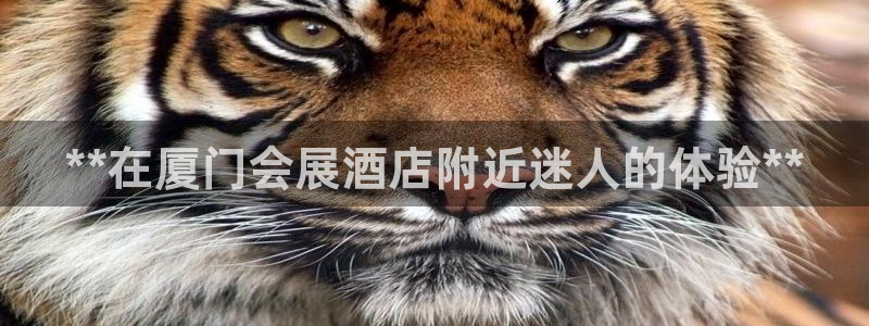 果博注册客服电话号码：**在厦门会展酒店