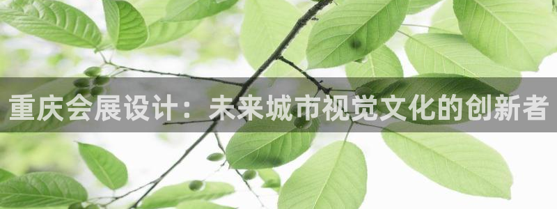 果博公司开户热线：重庆会展设计：未来城市