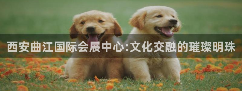 下载果博app：西安曲江国际会展中心:文化交融的璀