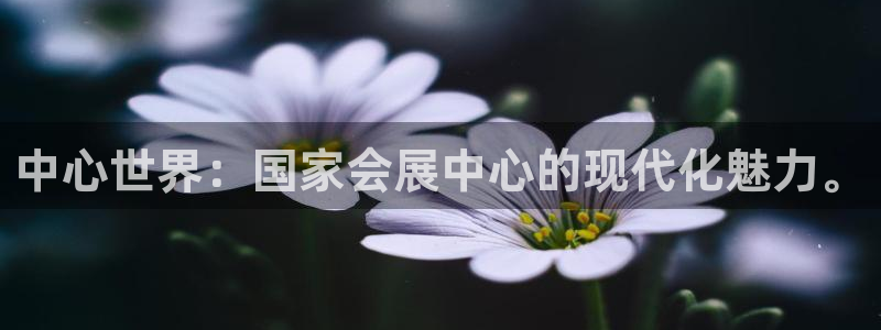果博注册会员：中心世界：国家会展中心的现