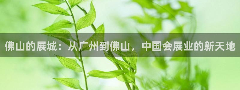 果博公司联系电话：佛山的展城：从广州到佛