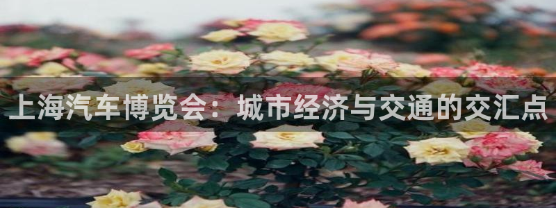 果博官网客服：上海汽车博览会：城市经济与